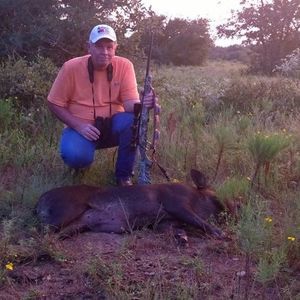 Meet your Posher, Robert